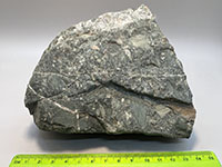 a greenish gray rock displaying a mix of smaller rock fragments. No visible crystals.